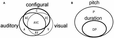 Multiple Approaches to the Investigation of Cell Assembly in Memory Research—Present and Future